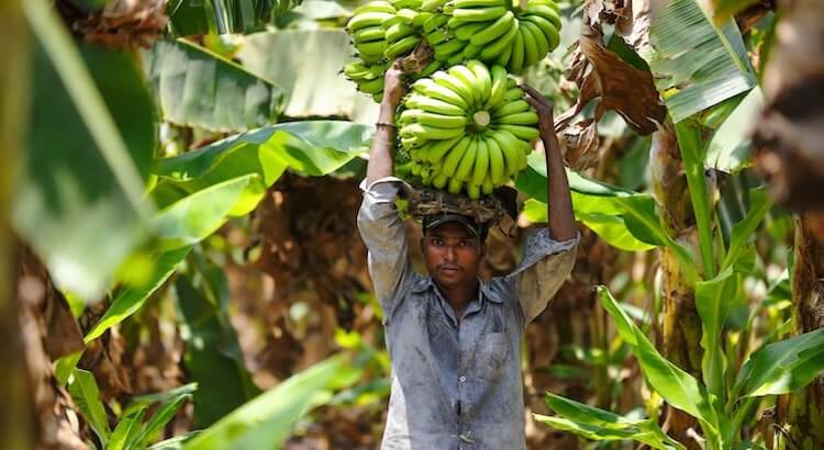 Top 5 chefs privados sin gluten en Tenerife (aptos para celíacos)